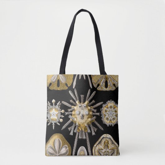  Zee Urchins Zanddollars van Ernst Haeckel Tote Bag (Voorkant)