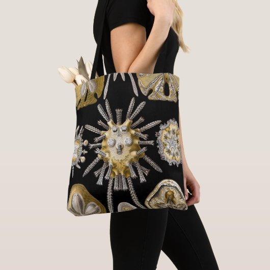 Zee Urchins Zanddollars van Ernst Haeckel Tote Bag (Dichtbij)