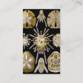  Zee Urchins Zanddollars van Ernst Haeckel Visitekaartje (Achterkant)