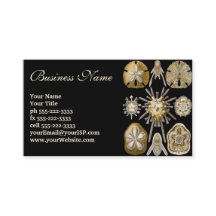  Zee Urchins Zanddollars van Ernst Haeckel