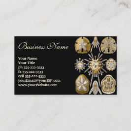 Zee Urchins Zanddollars van Ernst Haeckel Visitekaartje