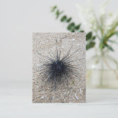 Zee van Black Diadem in de nabijheid van zandstran Briefkaart (Staand voorkant)