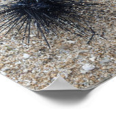 Zee van Black Diadem in de nabijheid van zandstran Poster (Hoek)