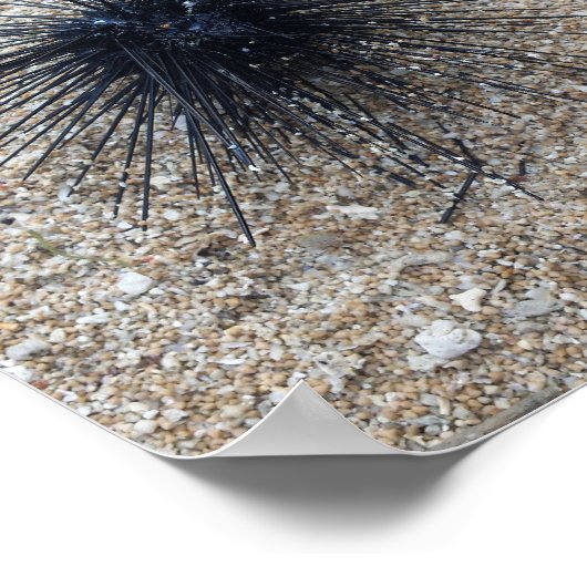 Zee van Black Diadem in de nabijheid van zandstran Poster (Hoek)