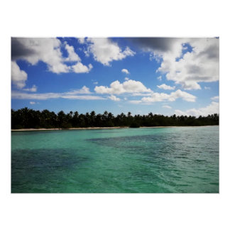 Zee van de Dominicaanse Republiek Perfect Poster