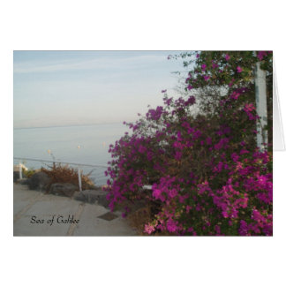 Zee van de Galileekaart