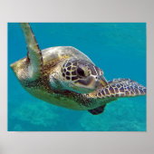 Zee van de Hawaii-eilanden Poster (Voorkant)