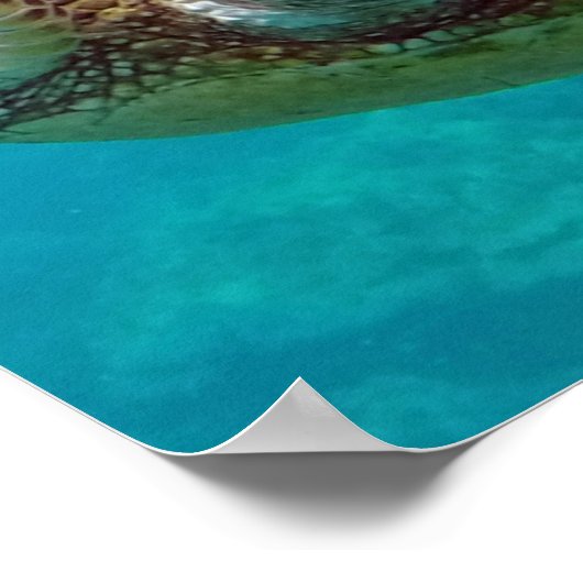 Zee van de Hawaii-eilanden Poster (Hoek)