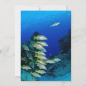 Zee van de marine onderwater - Nautische kustbruil Save The Date (Achterkant)