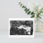 Zee van de oregonkusten met leeuw Binnenste Uitzic Briefkaart (Staand voorkant)