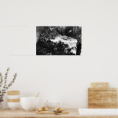 Zee van de oregonkusten met leeuw Binnenste Uitzic Poster (Keuken)