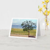 Zee van Galilea, Israëlisch Landschap Kaart (Gele Bloem)