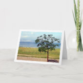 Zee van Galilea, Israëlisch Landschap Kaart (Voorkant)