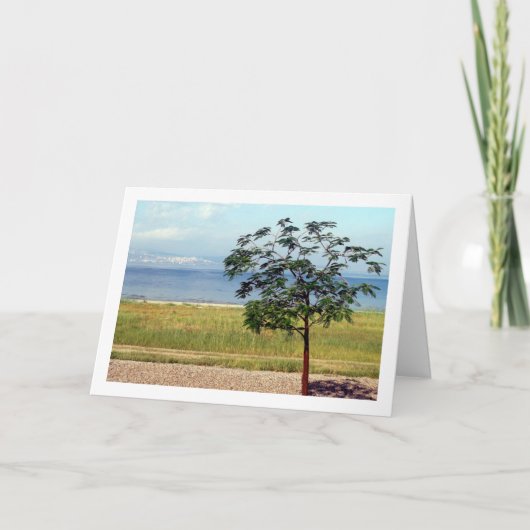 Zee van Galilea, Israëlisch Landschap Kaart (Voorkant)