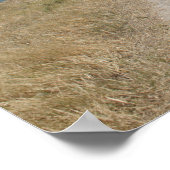 Zee van Galilea, laat je hart niet versteld staan Poster (Hoek)