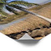 Zee van Galillee Israel Canvas Print (Hoek)