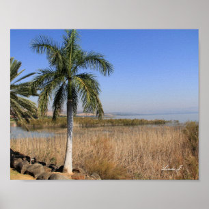 Zee van Galillee Israel Canvas Print