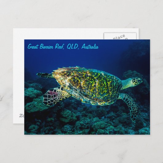 Zee van het Koraal van het Barrièrerif van de Briefkaart (Voorkant / Achterkant)