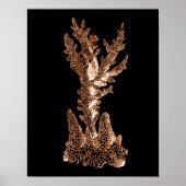 Zee van het kuststrand van de kustwateren van de k poster (Voorkant)