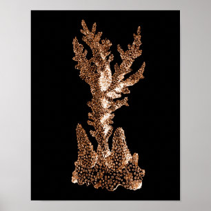 Zee van het kuststrand van de kustwateren van de k poster