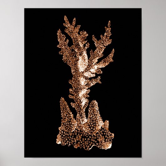 Zee van het kuststrand van de kustwateren van de k poster (Voorkant)