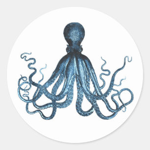 Zee van het kuststrand van de Octopus kraken Ronde Sticker