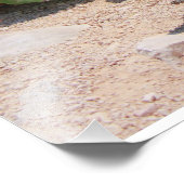 Zee van Iguana en turquoise Foto Afdruk (Hoek)