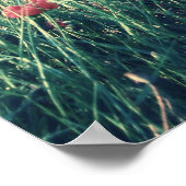 Zee van papavers poster (Hoek)