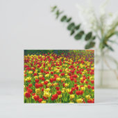 Zee van Tulpen Briefkaart (Staand voorkant)
