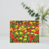 Zee van Tulpen III Briefkaart (Staand voorkant)