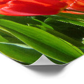 Zee van Tulpen III Poster (Hoek)