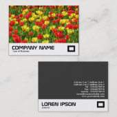 Zee van Tulpen III Visitekaartje (Voorkant / Achterkant)