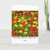 Zee van Tulpen Kaart (Achterkant)