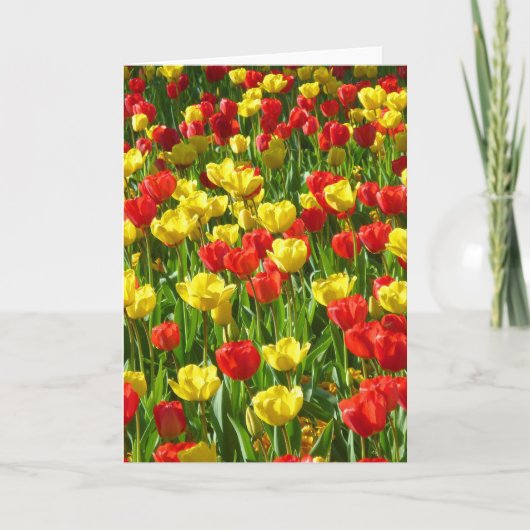 Zee van Tulpen Kaart (Voorkant)