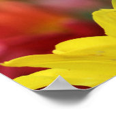 Zee van Tulpen Poster (Hoek)