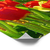 Zee van Tulpen Poster (Hoek)