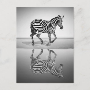 Zee van vrijheid briefkaart