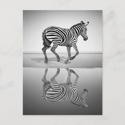 Zee van vrijheid briefkaart (Voorkant)