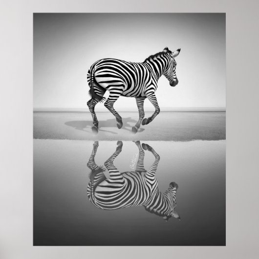 Zee van vrijheid poster (Voorkant)