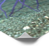 Zee van zee Levensduur Anemone Poster / Afdruk (Hoek)