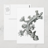 Zee ventilator briefkaart (Voorkant / Achterkant)