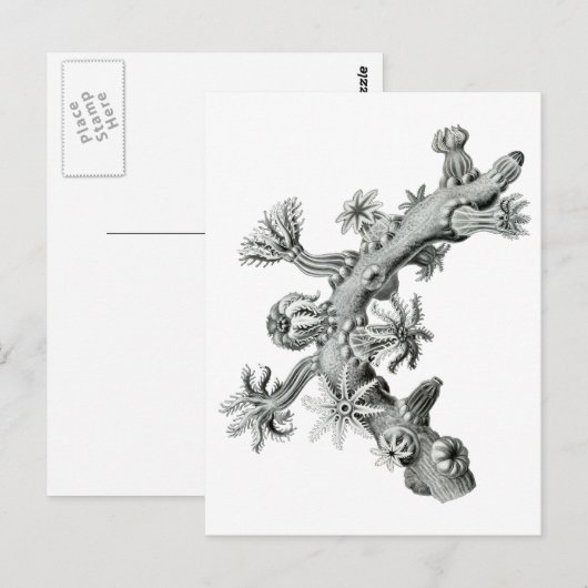 Zee ventilator briefkaart (Voorkant / Achterkant)