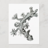 Zee ventilator briefkaart (Voorkant)