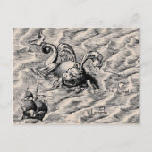 Zee verzonden en verzend schip briefkaart (Voorkant)