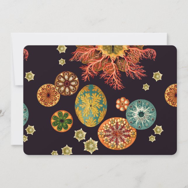 Zee vierkant achtervoegsel (Voorkant)