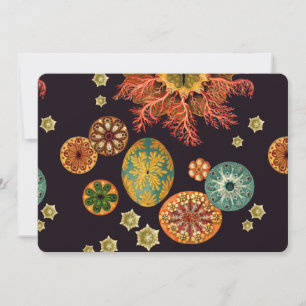 Zee vierkant achtervoegsel