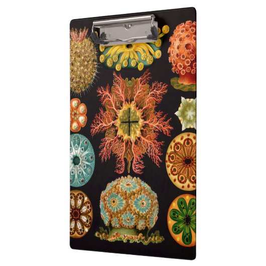 Zee vierkant klembord (Links)