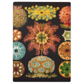 Zee vierkant klembord (Achterkant)