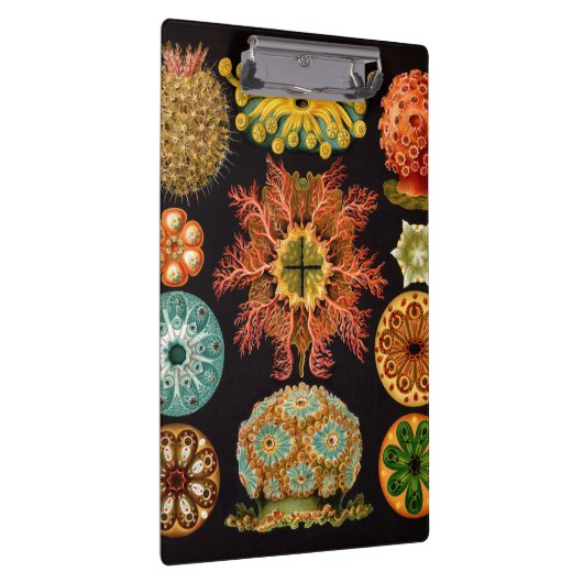 Zee vierkant klembord (Rechts)