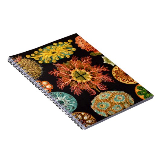 Zee vierkant notitieboek (Rechterzijde)